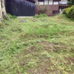 今日のノルマ、、、、、、