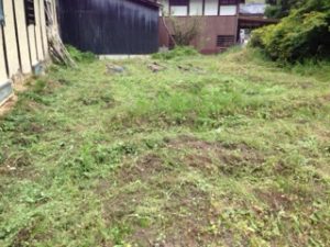 今日のノルマ、、、、、、