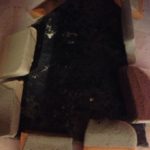 どうなることやら、、、、、、