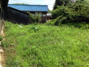 ほっちっち農業も、、、