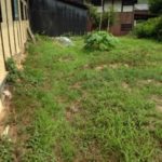 まだ余裕、、、、、、