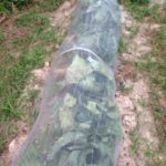 雨が、、、、、、