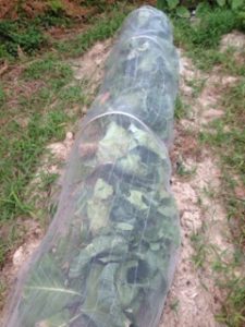 雨が、、、、、、