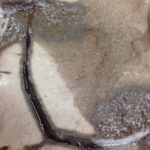 カチカチの土、、、、、、