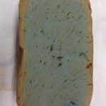 バクテリア、、、、、、