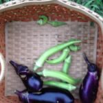 今年は、、、、、、