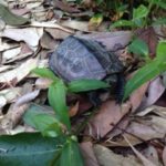 竜宮城へ、、、、、、