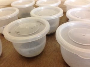 何度でも、、、、、、