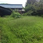 はやいもので、、、、、、