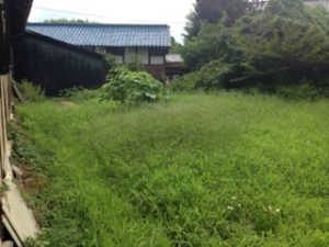 はやいもので、、、、、、