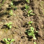 気持ちイイ、、、、、、