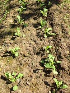 気持ちイイ、、、、、、