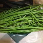 タマネギの苗、、、