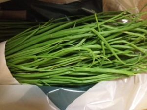 タマネギの苗、、、