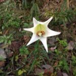 今日、、、、、、