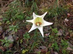 今日、、、、、、