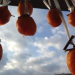 干し柿、、、、、、