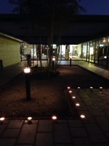 夜のミュージアム、、、、、、