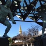 報告と、、、、、