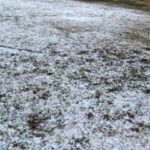 とうとう、、、、、、