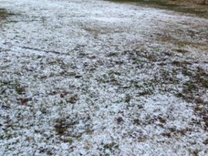 とうとう、、、、、、