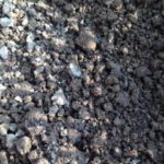 来年は、、、、、、