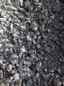 来年は、、、、、、