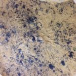 土の霜降りか、、、、、、