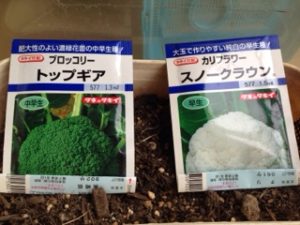 春の苗栽培、、、、、、