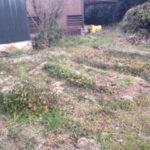 畝つくり、、、、、、