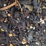 春のスタートか、、、、、、