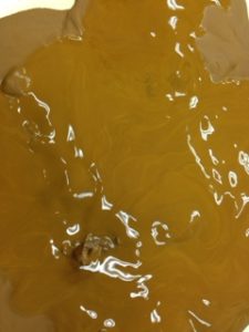 イイ陶芸材料に、、、、