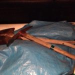 茶の苗を、、、