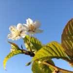 これは、、、、