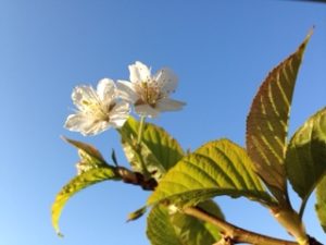 これは、、、、