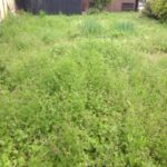 農業の基本と思います、、、