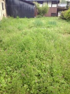 農業の基本と思います、、、