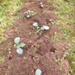 やっと、、、、