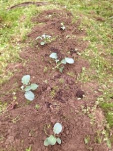 やっと、、、、