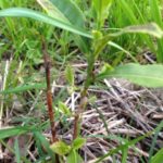 ここからが勝負、、、