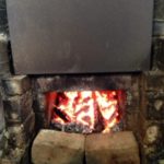 プチタマネギ、、、