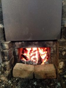 プチタマネギ、、、