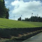 やはりイイ所、、、