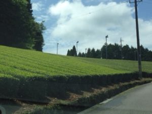 やはりイイ所、、、