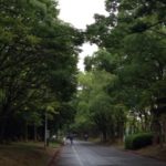 今日は雨、、、