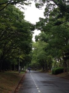 今日は雨、、、