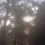 天気回復、、、