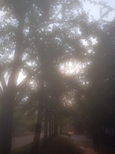 天気回復、、、