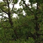 台風とは、、、