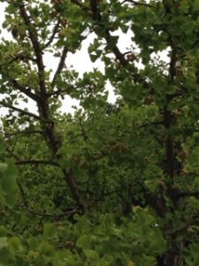 台風とは、、、